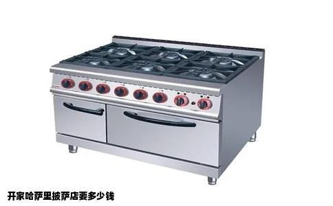 开家哈萨里披萨店要多少钱