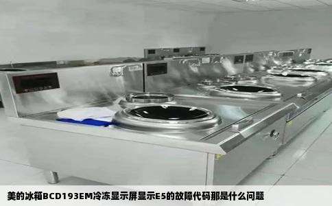 美的冰箱BCD193EM冷冻显示屏显示E5的故障代码那是什么问题