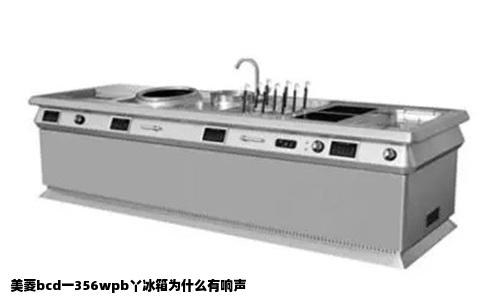 美菱bcd一356wpb丫冰箱为什么有响声