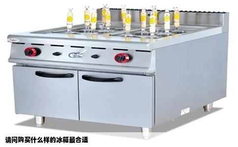 请问购买什么样的冰箱最合适