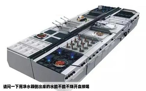 请问一下用净水器倒出来的水能不能不烧开直接喝