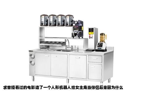 求曾经看过的电影造了一个人形机器人给女主角当伴侣后来因为什么
