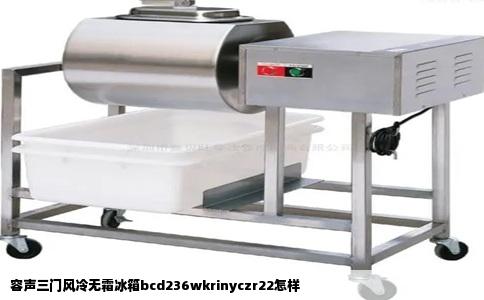 容声三门风冷无霜冰箱bcd236wkrinyczr22怎样