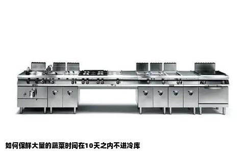 如何保鲜大量的蔬菜时间在10天之内不进冷库