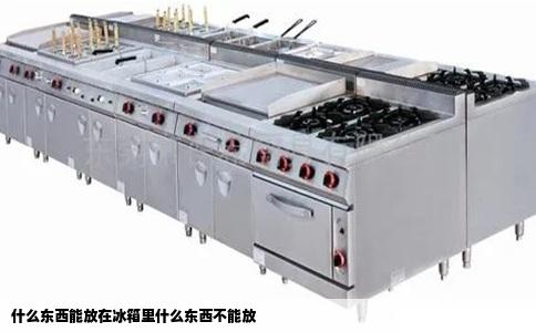 什么东西能放在冰箱里什么东西不能放