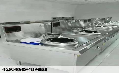 什么净水器好推荐个牌子给我用