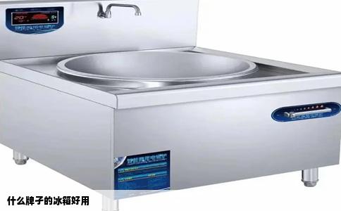 什么牌孑的冰箱好用