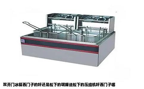 双开门冰箱西门子的好还是松下的呢据说松下的压缩机好西门子哪