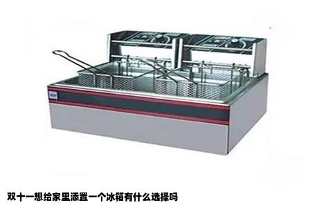 双十一想给家里添置一个冰箱有什么选择吗