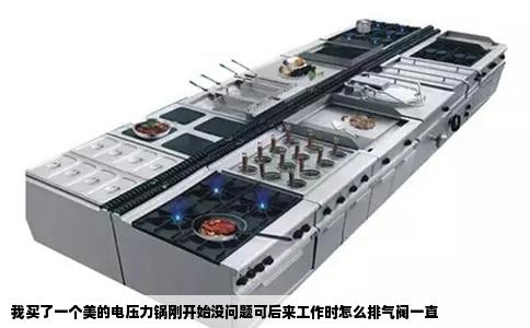 我买了一个美的电压力锅刚开始没问题可后来工作时怎么排气阀一直