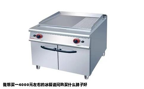 我想买一4000元左右的冰箱请问购买什么牌子好
