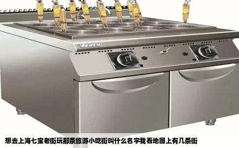 想去上海七宝老街玩那条旅游小吃街叫什么名字我看地图上有几条街