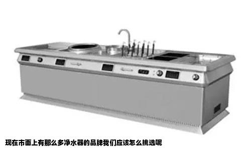 现在市面上有那么多净水器的品牌我们应该怎么挑选呢