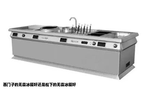 西门子的无霜冰箱好还是松下的无霜冰箱好