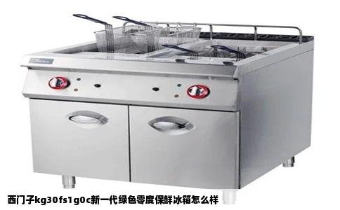 西门子kg30fs1g0c新一代绿色零度保鲜冰箱怎么样