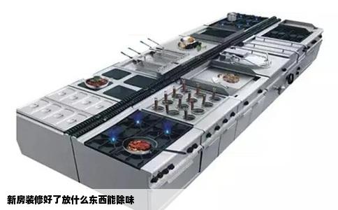 新房装修好了放什么东西能除味