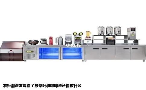 衣柜潮湿发霉除了放茶叶和咖啡渣还能放什么