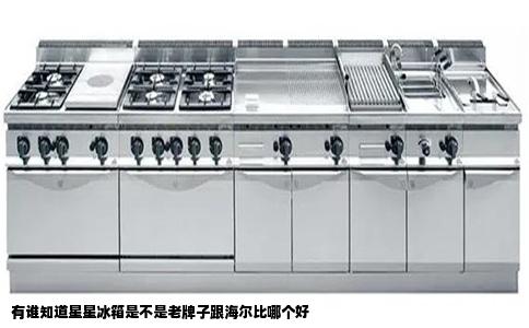 有谁知道星星冰箱是不是老牌子跟海尔比哪个好