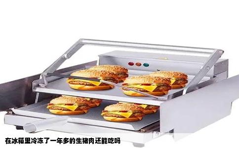 在冰箱里冷冻了一年多的生猪肉还能吃吗