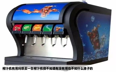 榨汁机有用吗想买一台榨汁机但不知道有没有用也不知什么牌子的