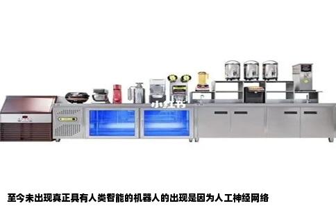 至今未出现真正具有人类智能的机器人的出现是因为人工神经网络