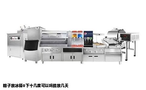 粽子放冰箱0下十几度可以吗能放几天