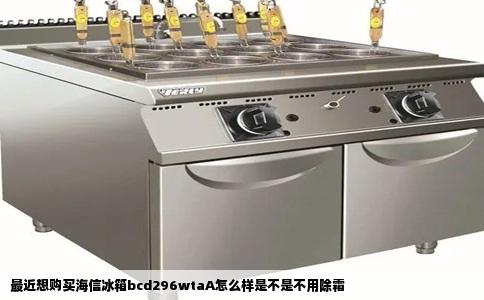 最近想购买海信冰箱bcd296wtaA怎么样是不是不用除霜